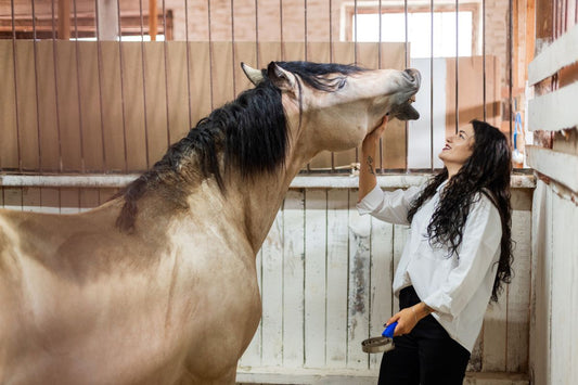 Obere Atemwege beim Pferd – Kehlkopfpfeifen, Atemgeräusche &amp; versteckte Blockaden