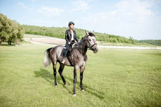 Vitamin E für Pferde – Bedeutung und Fütterungstipps