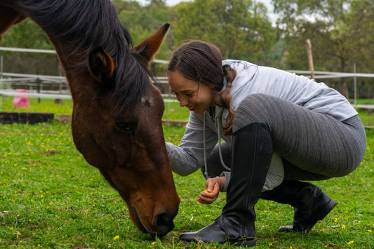 Mykotoxine im Futter: Natürliche Entgiftung und Darmschutz für Dein Pferd