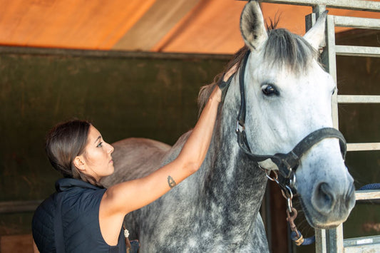 Woran merke ich, ob Supplements beim Pferd wirklich etwas bringen? - ahipos-horses