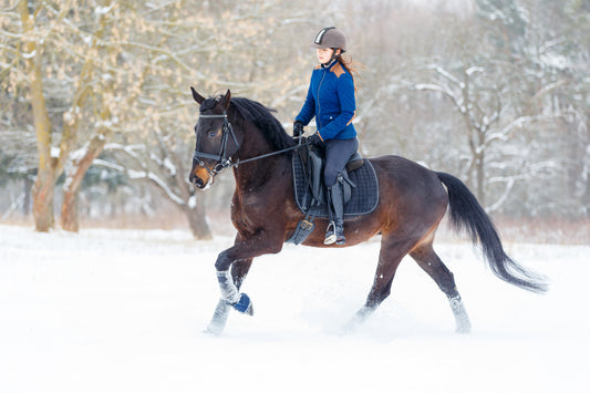 Winterzeit = Stehzeit? Wie du die Beweglichkeit deines Pferdes erhältst