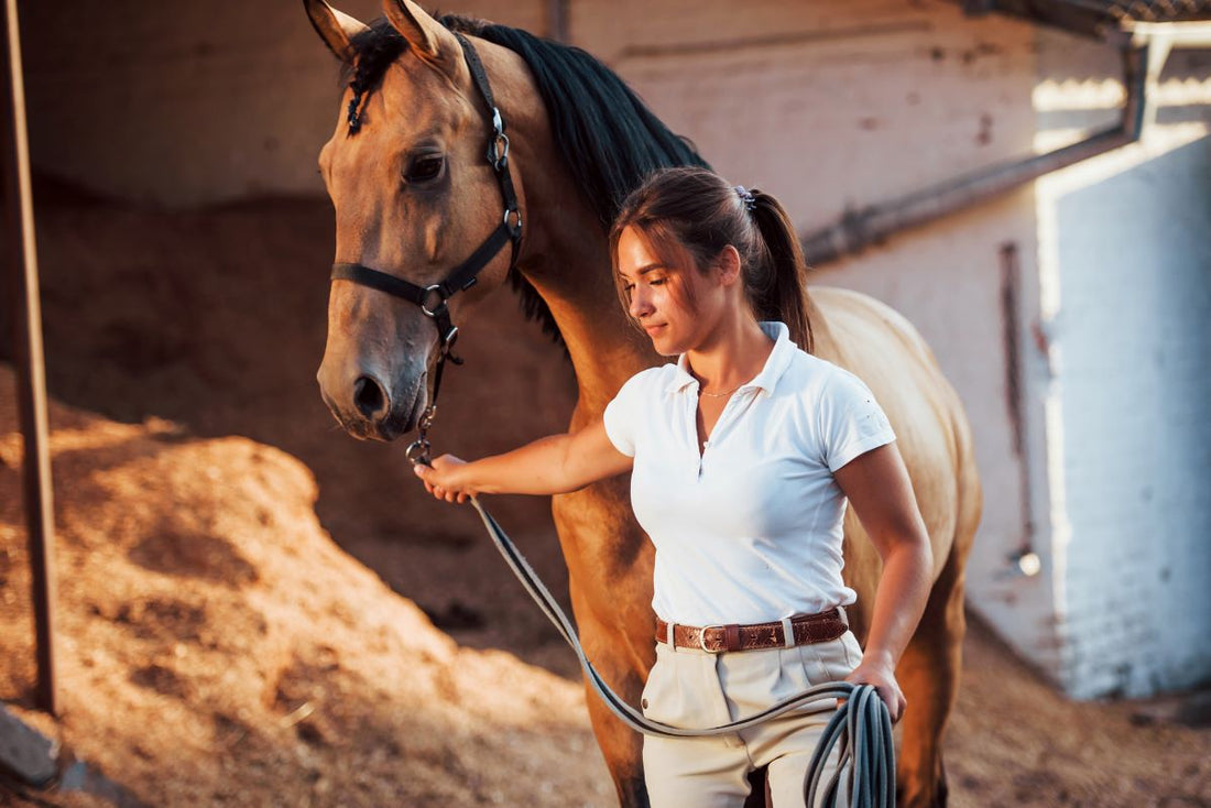Zucker & Stärke im Pferdefutter: Versteckte Gefahren erkennen und Etiketten richtig lesen - ahipos-horses