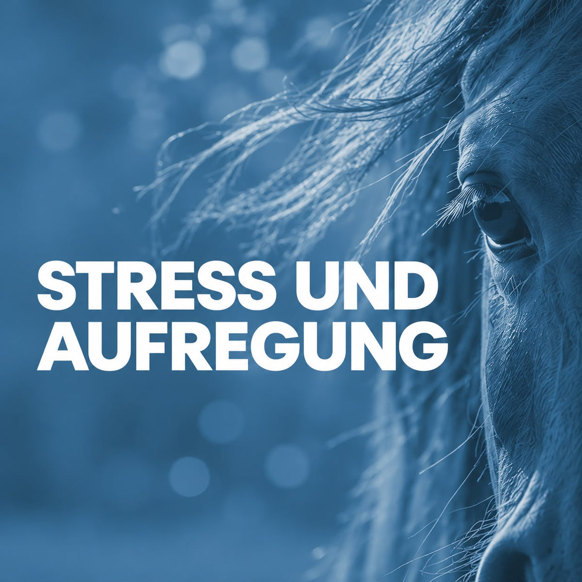 Stress und Aufgregung