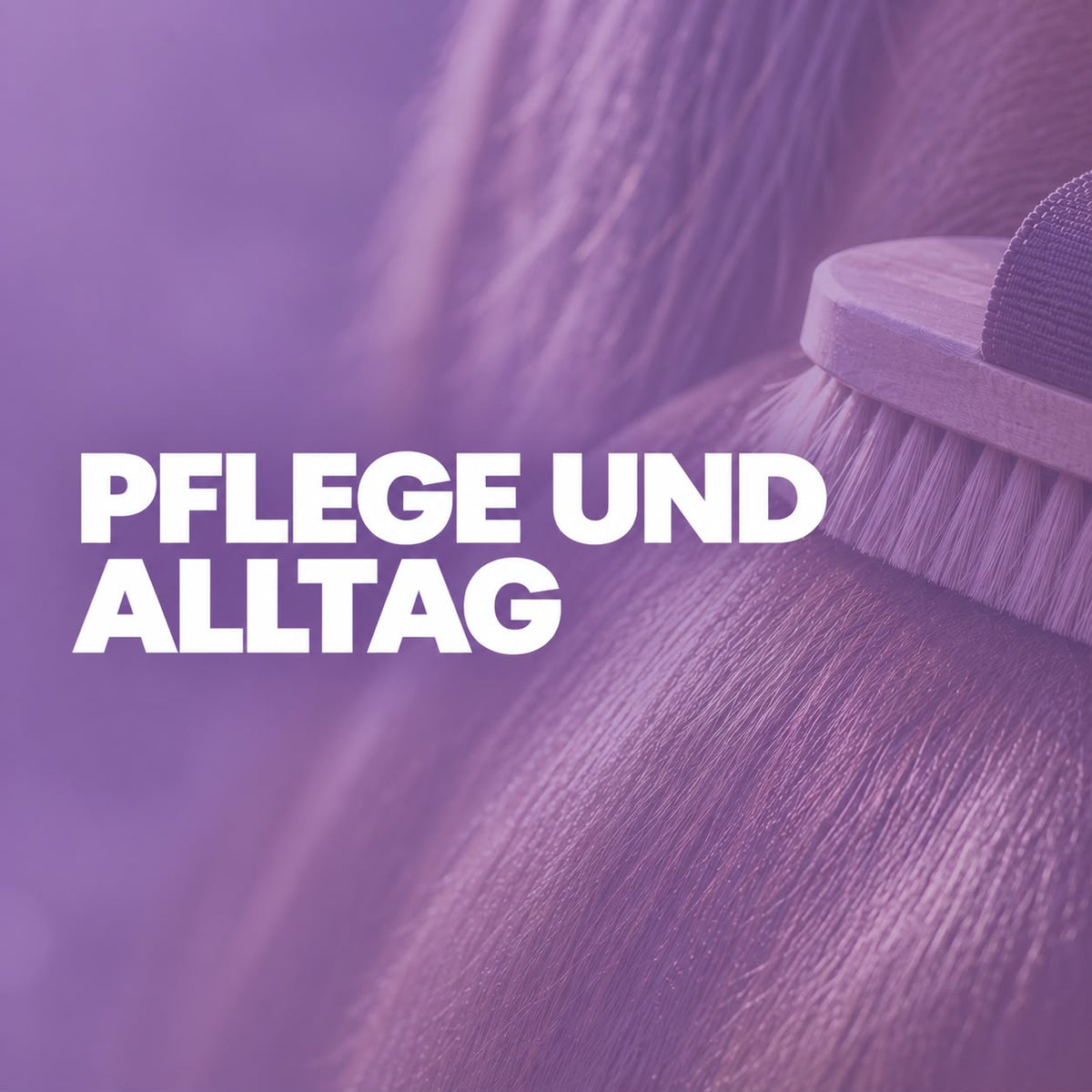 Pflege und Alltag