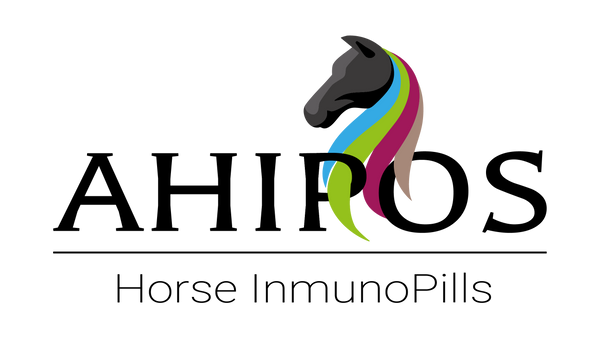 ahipos-horses