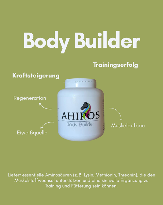 AHIPOS Body Builder