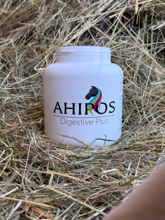 AHIPOS – Digestive Plus