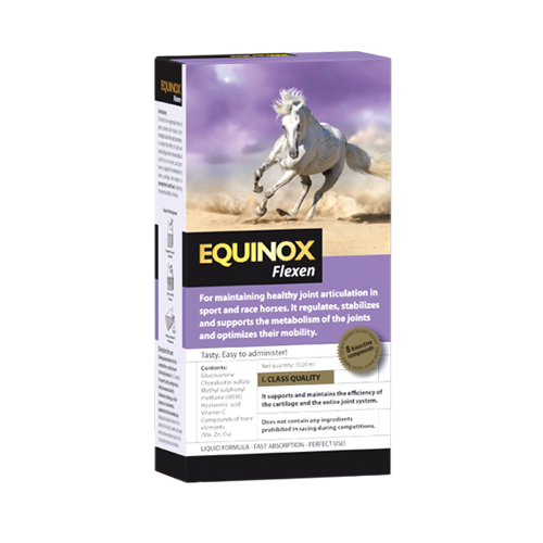 EQUINOX Flexen