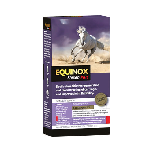 EQUINOX Flexen Plus