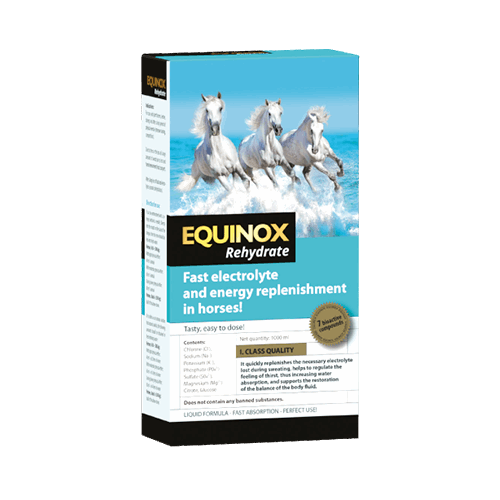 EQUINOX Rehydrate