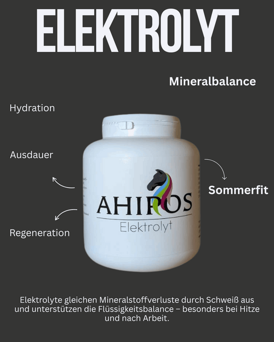 AHIPOS – Elektrolyt