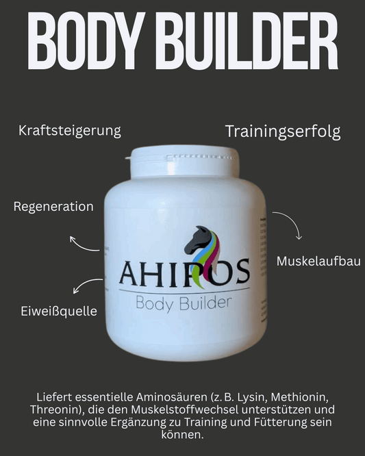 AHIPOS Body Builder