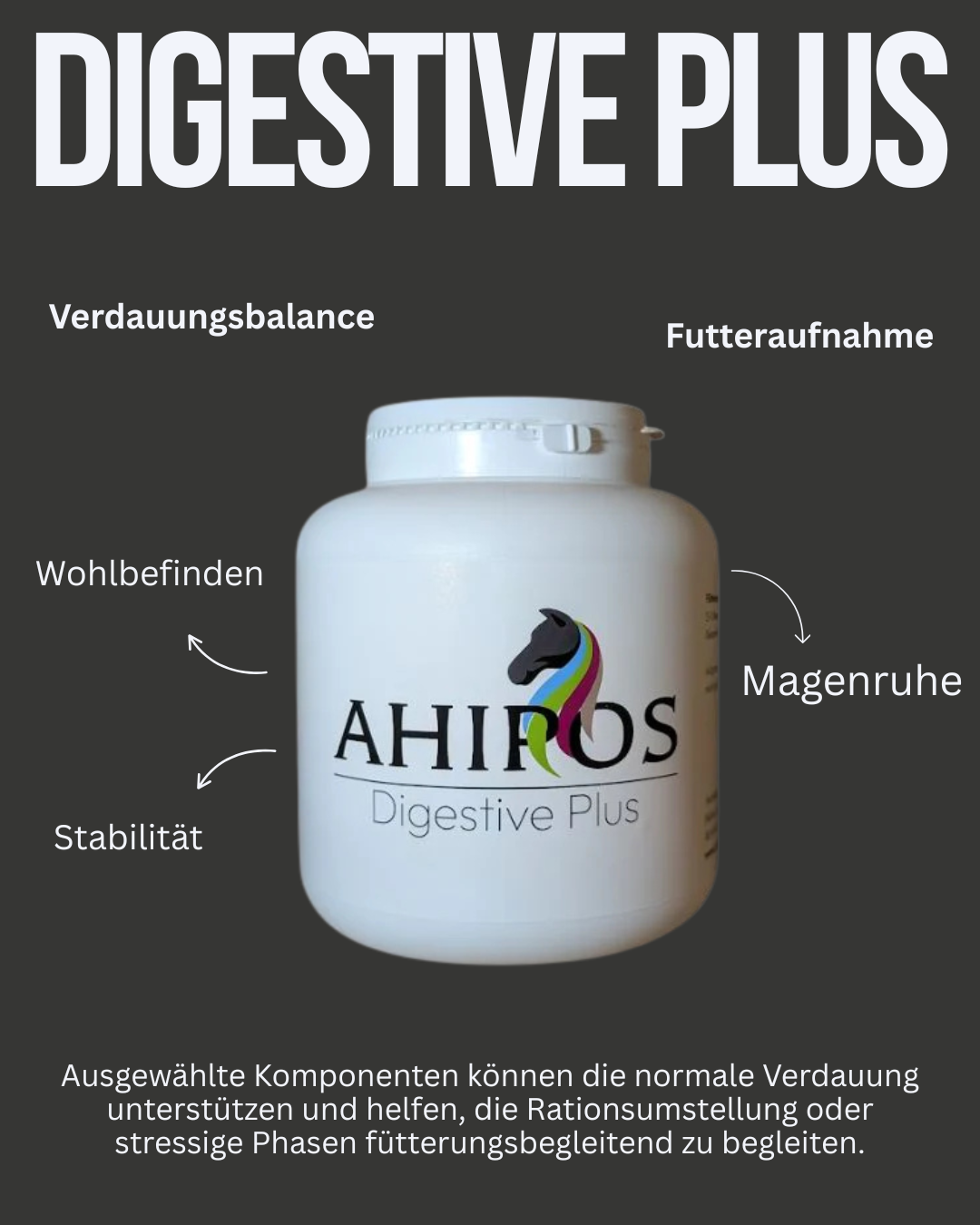 AHIPOS – Digestive Plus