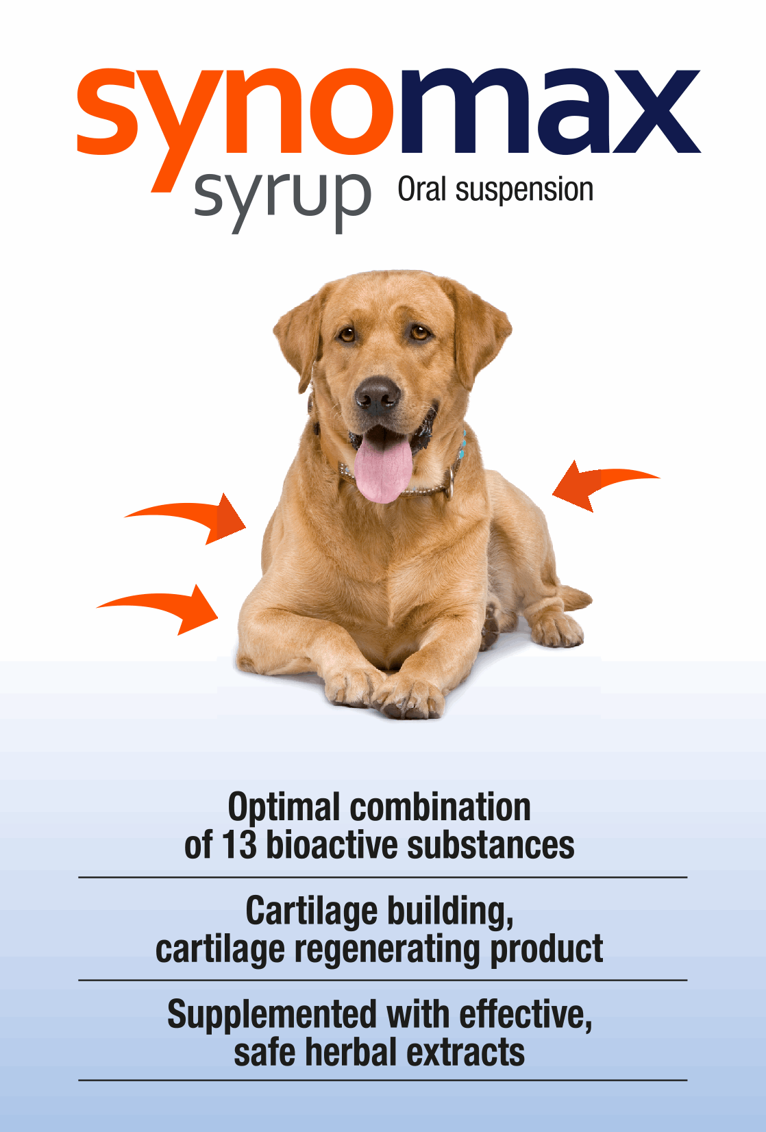 Synomax Sirup für Hunde