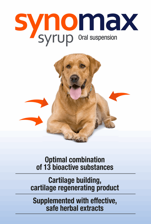 Synomax Sirup für Hunde