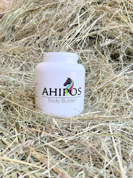 AHIPOS Body Builder - ahipos-horses