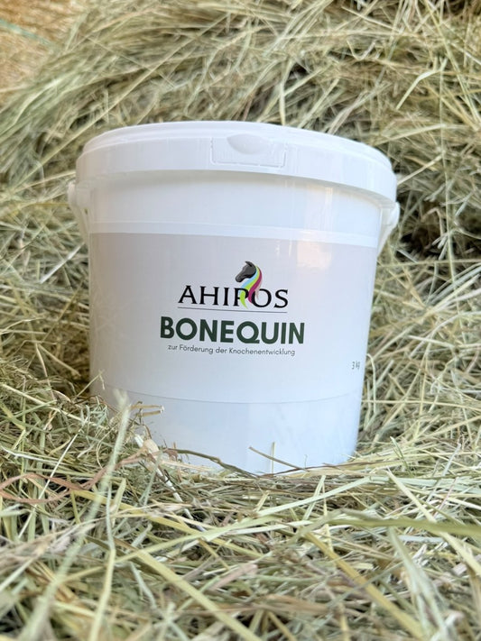 Ahipos Bonequin - ahipos-horses