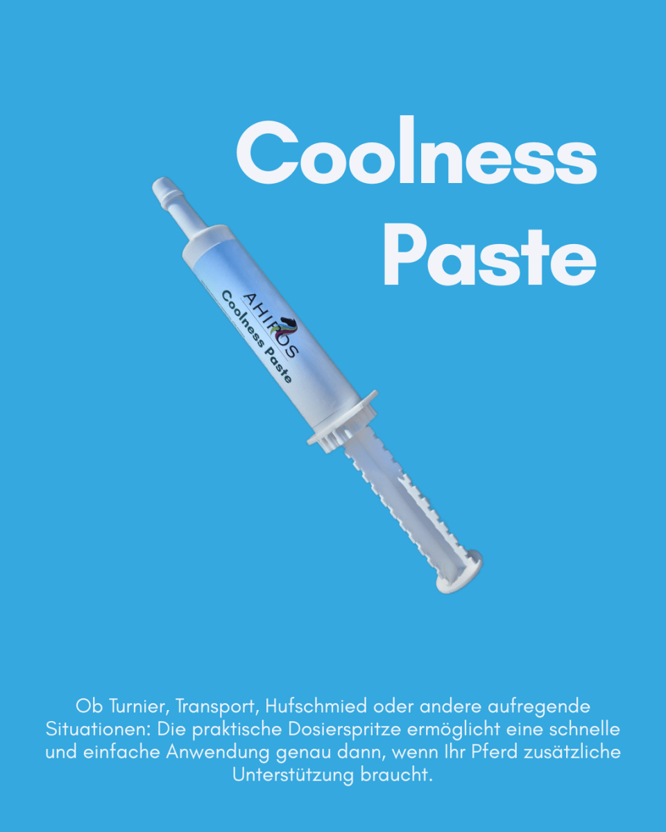 AHIPOS COOLNESS Paste (3 Stück) - ahipos-horses