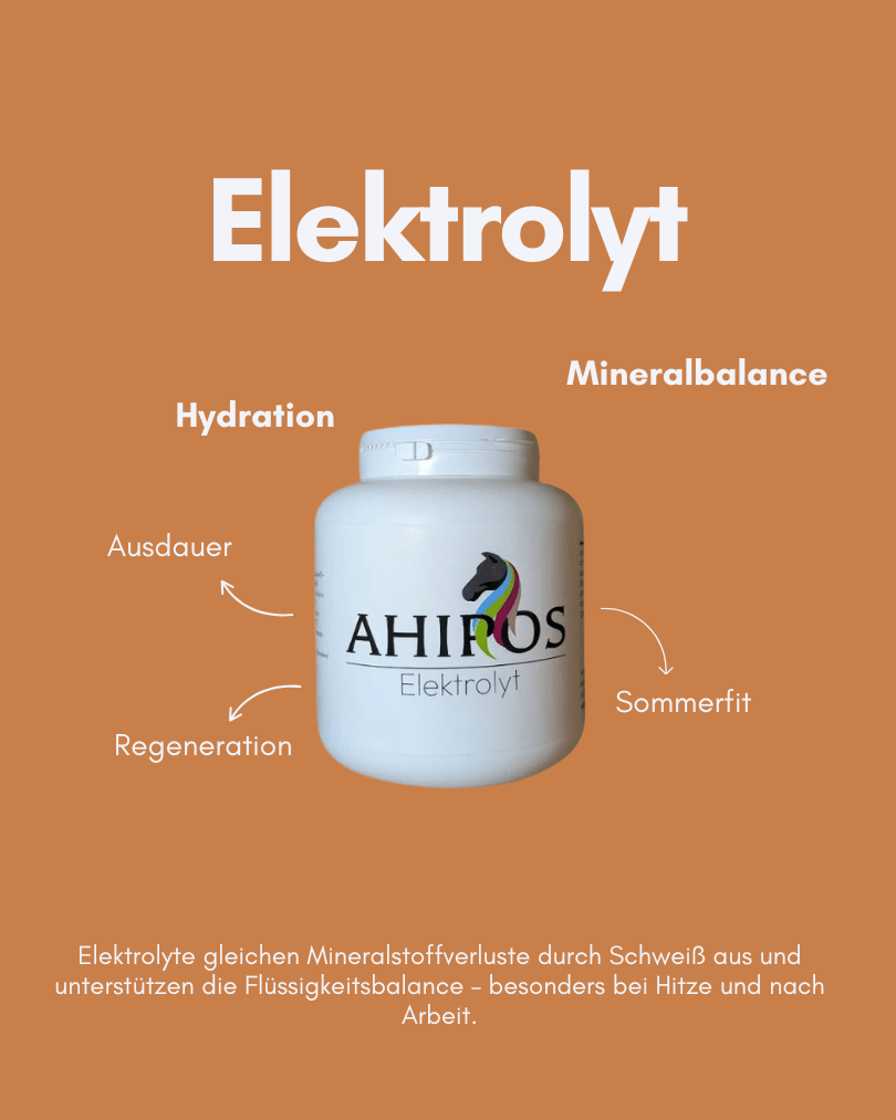 AHIPOS – Elektrolyt - ahipos-horses