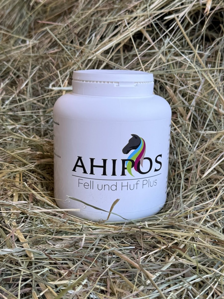 AHIPOS – Fell & Huf - ahipos-horses