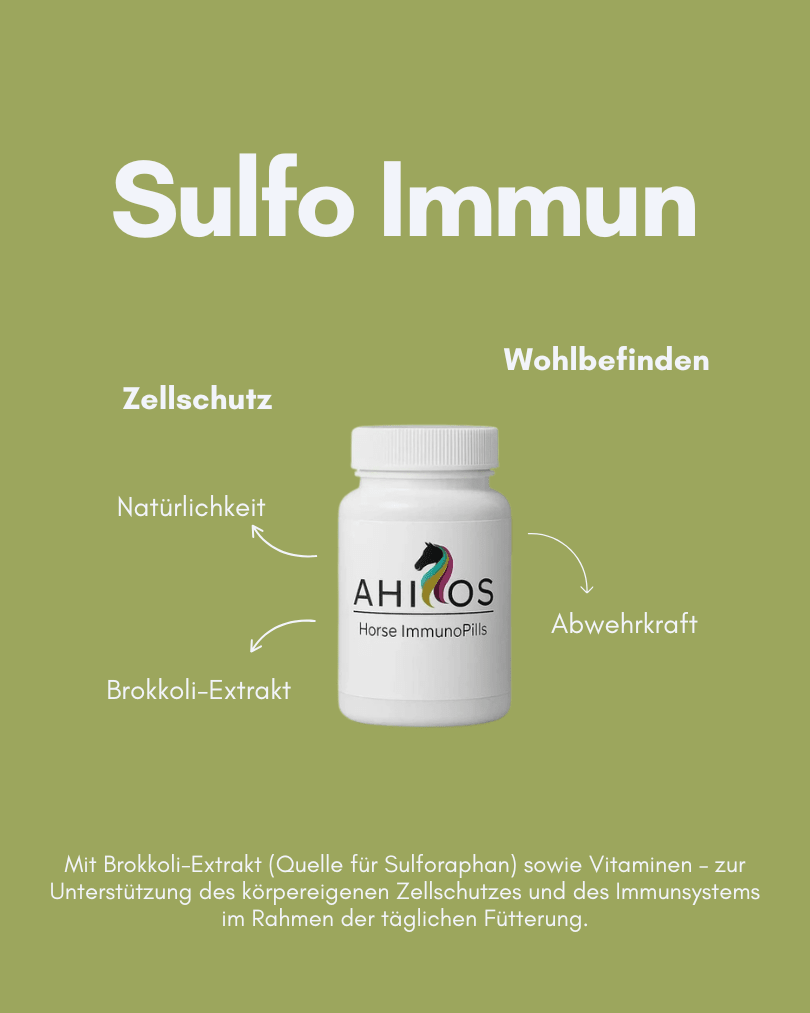 AHIPOS SULFO IMMUN – Sulforaphan und Spirulina - ahipos-horses