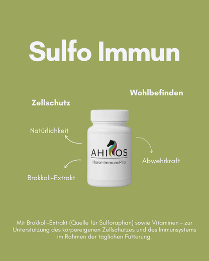 AHIPOS SULFO IMMUN – Sulforaphan und Spirulina - ahipos-horses