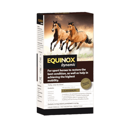 EQUINOX Dynamic - ahipos-horses