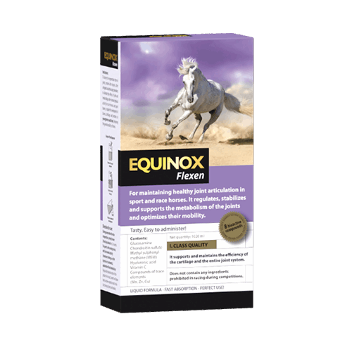 EQUINOX Flexen - ahipos-horses