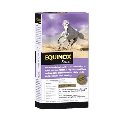 EQUINOX Flexen - ahipos-horses