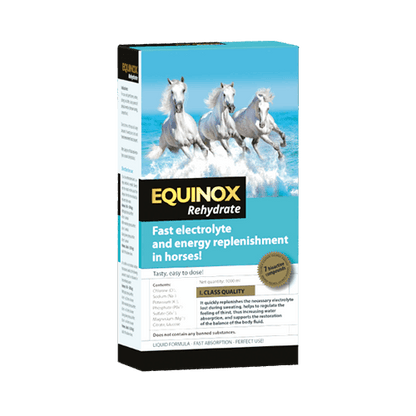 EQUINOX Rehydrate - ahipos-horses