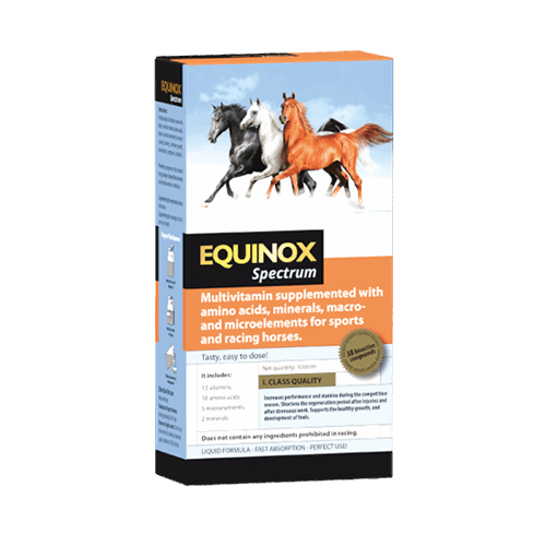 EQUINOX Spectrum - ahipos-horses