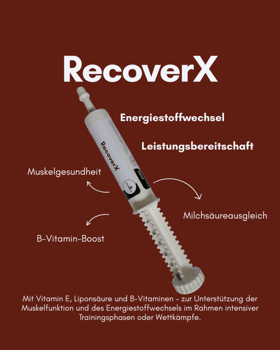 RecoverX - ahipos-horses