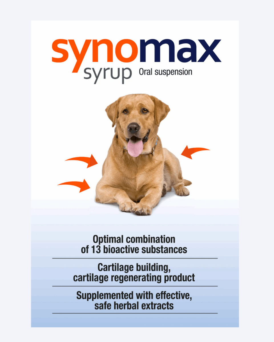 Synomax Sirup für Hunde - ahipos-horses